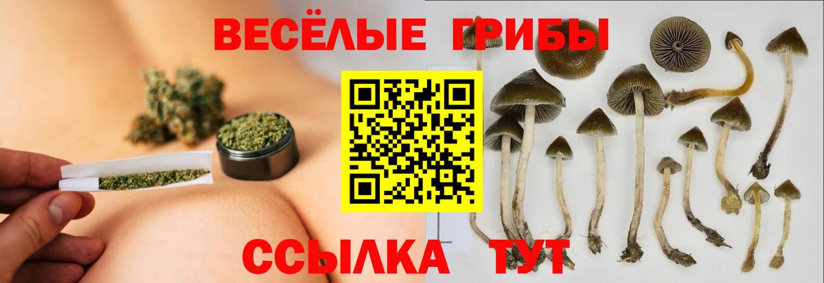 Галлюциногенные грибы MAGIC MUSHROOMS  Вход с VPN  Пыть-Ях 