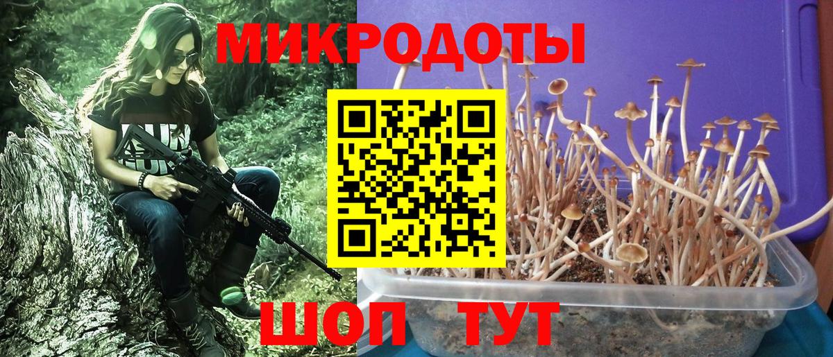 Галлюциногенные грибы прущие грибы Пыть-Ях